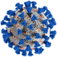 Immagine: Emergenza Coronavirus
