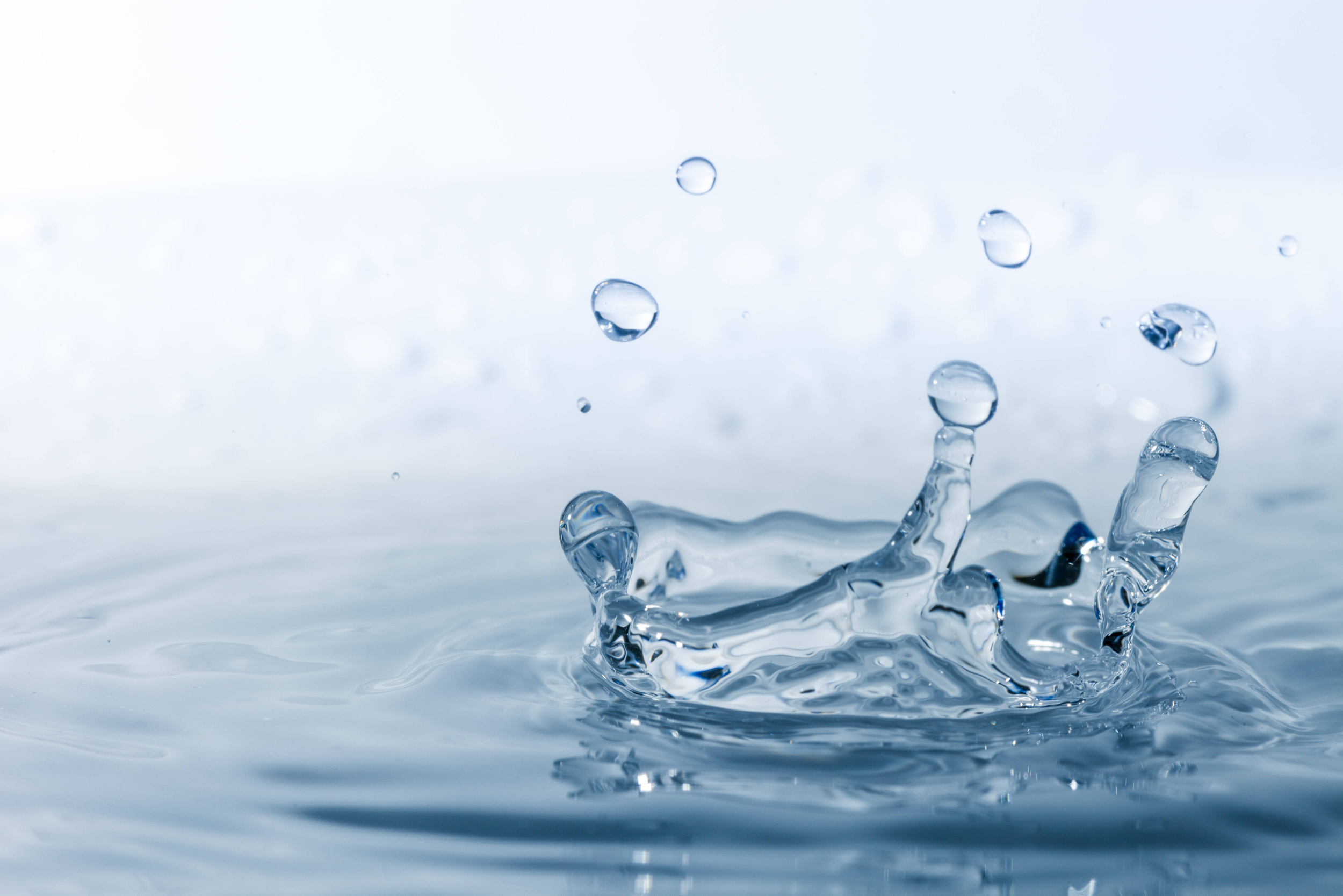 Acqua