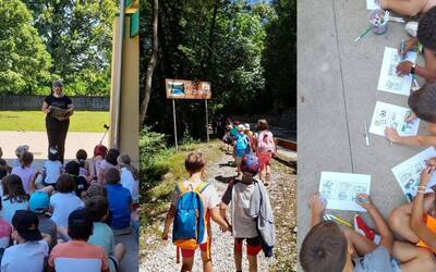 Collage di immagini delle attività del centro estivo