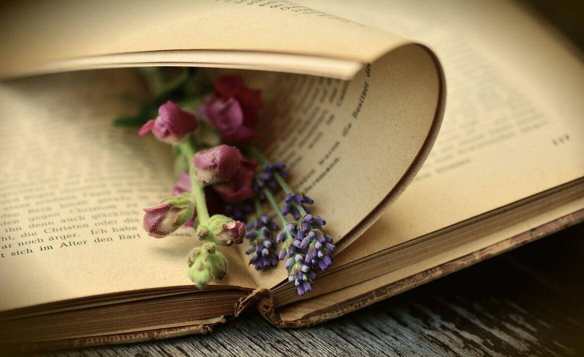 Libro con fiori secchi 