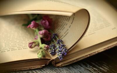Libro con fiori secchi 