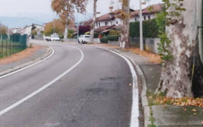 Immagine con la strada e i platani