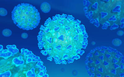 immagine del virus