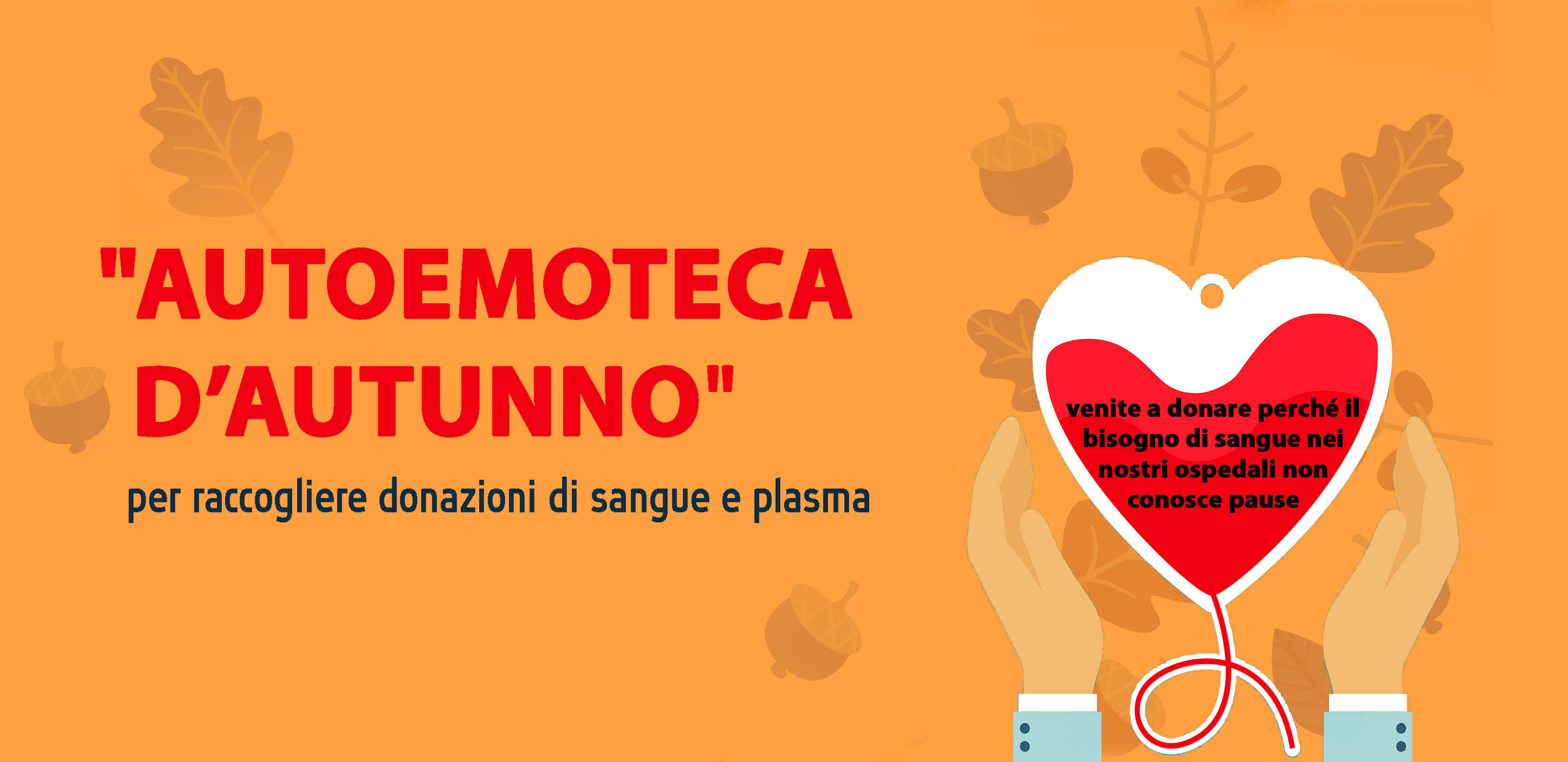 Immagine della locandina
