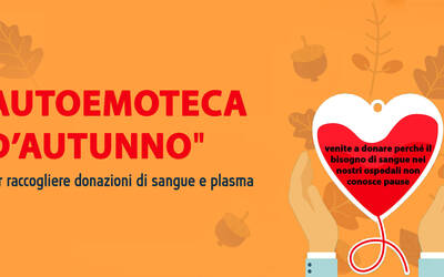 Immagine della locandina