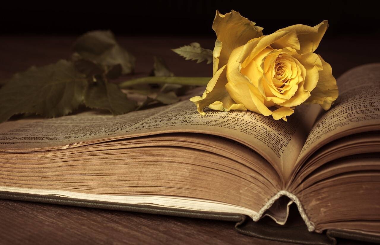 Libro aperto con rosa gialla