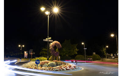 Aiuola con bici composta di fiori e ruote di legno