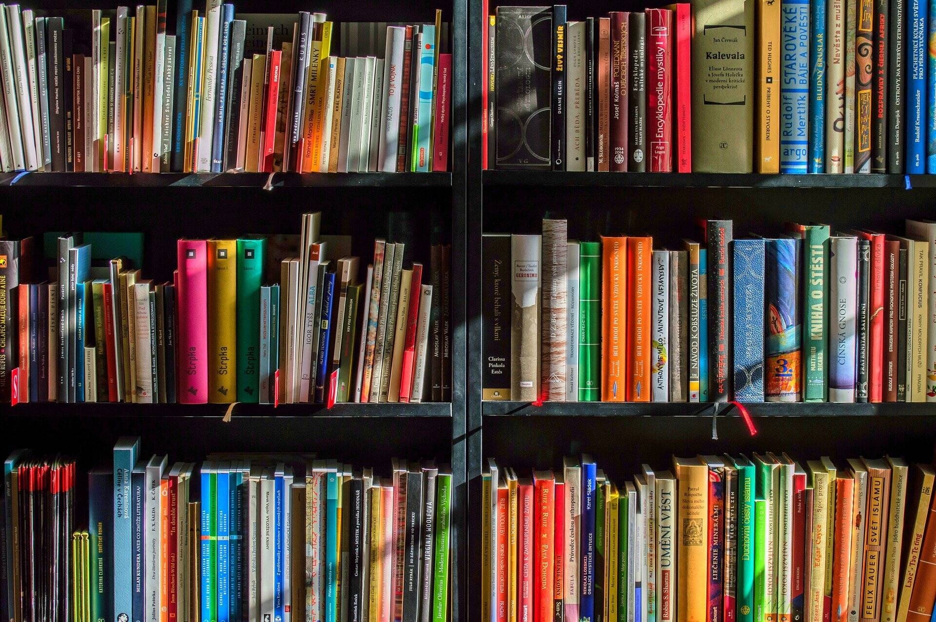 Libri in Biblioteca