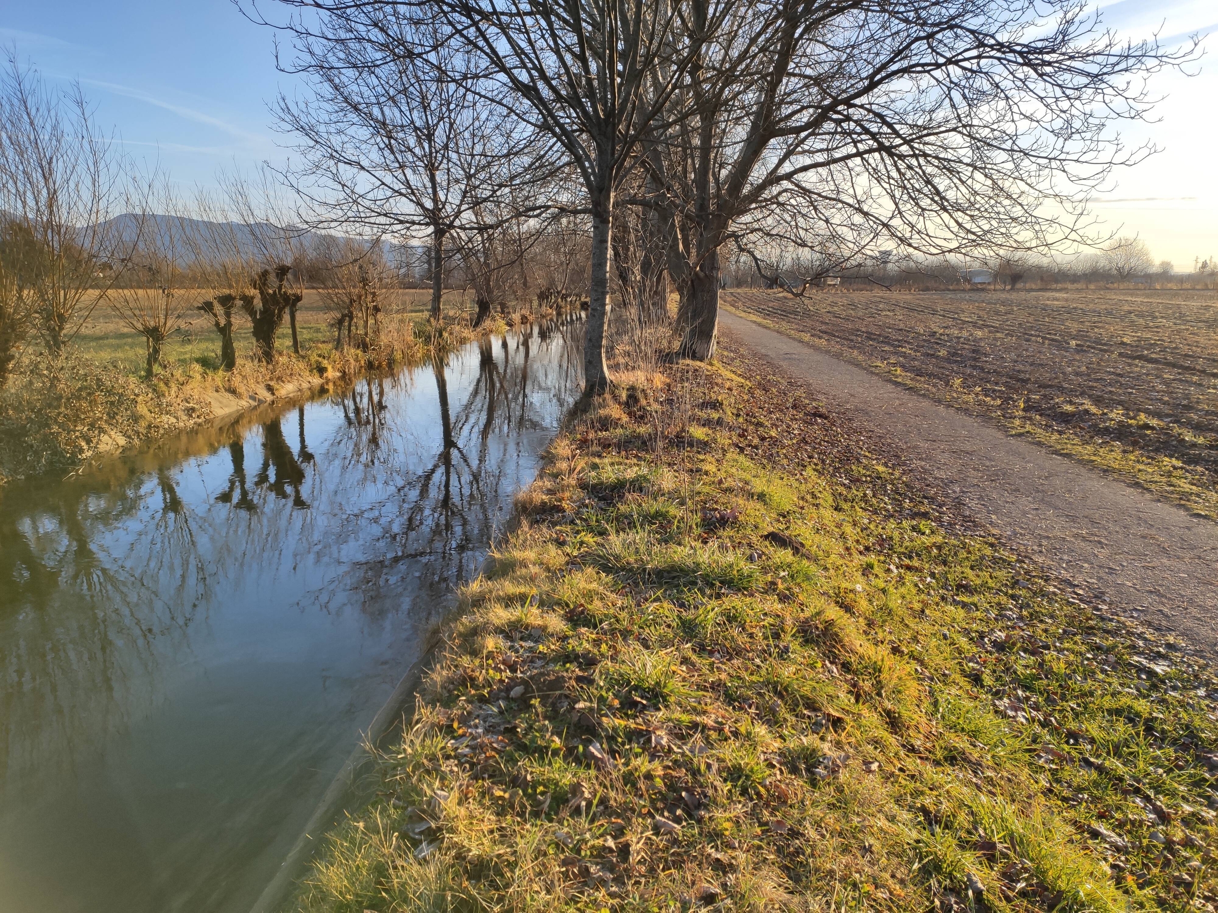 scorcio di Cavalicco sentiero e canale e fila di alberi