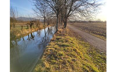 scorcio di Cavalicco sentiero e canale e fila di alberi