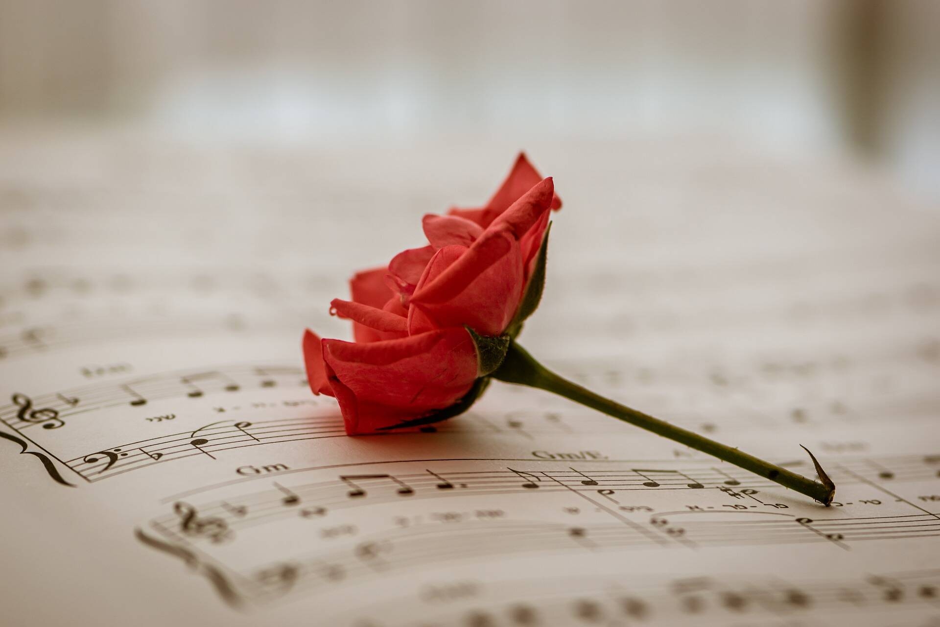 Spartito musicale con fiore