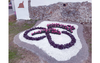 Immagine dell'aiuola con il logo del Giro d'Italia