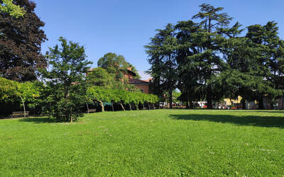 Immagine con il parco di Feletto