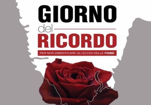 Immagine con rosa