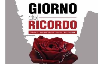 Immagine con rosa