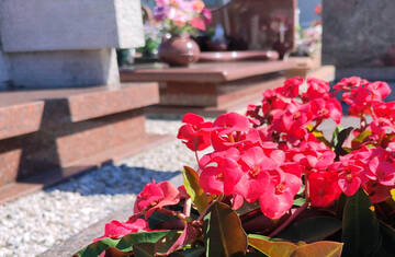 Richiedere la sepoltura di un proprio caro in un cimitero comunale